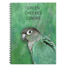 Green Cheked Conure - belo pássaro