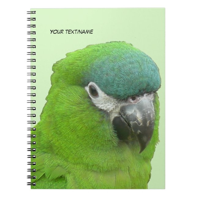 Caderno Espiral Green Lorikeet Cust Notebook de cores Text & BG (Frente)