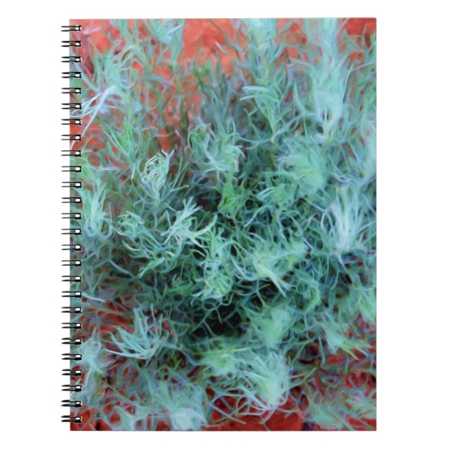 Caderno Espiral Green Sage em Red Sand (Frente)