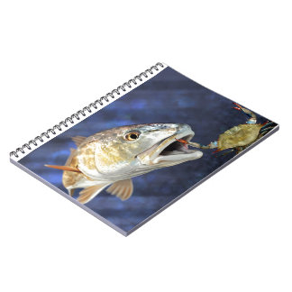Caderno Espiral Greve dos salmonetess