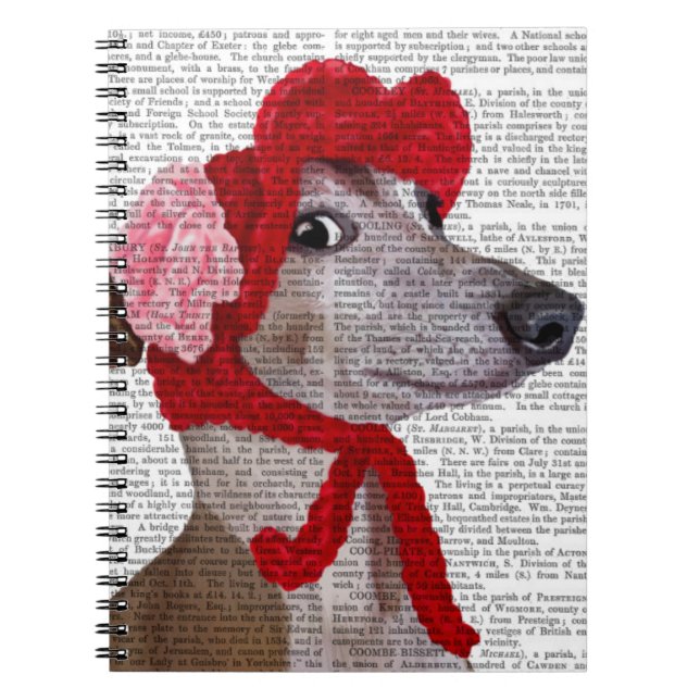 Caderno Espiral Greyhound com Red Wooly Hat 2 (Frente)
