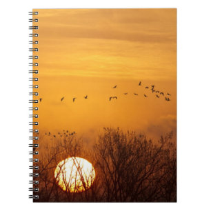 Caderno Espiral Grous-de-areia silhuetados contra o sol nascente