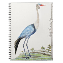 Caderno Espiral Grua-de-vidro