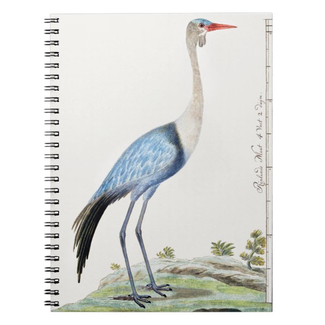 Caderno Espiral Grua-de-vidro (Frente)