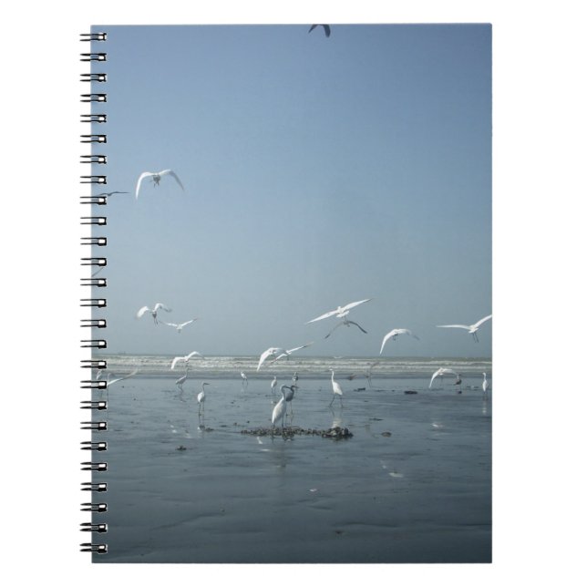 Caderno Espiral Gruas Lindas Voando Sobre a Água Balé da Natureza (Frente)