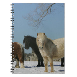 Caderno Espiral Grupo de cavalos diminutos na neve