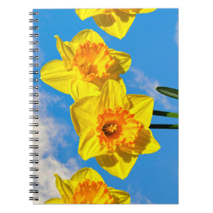 Caderno Espiral Grupo de Daffodils Dourados Flores Medalhadas