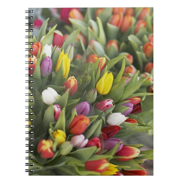 Caderno Espiral Grupos de tulipas coloridas (Frente)