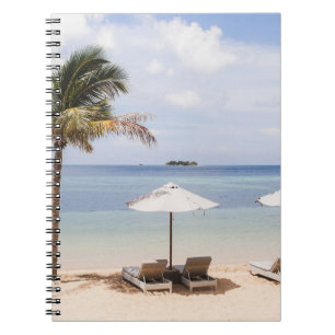 Caderno Espiral Guardas-chuvas tropicais de praia: branco, palma.