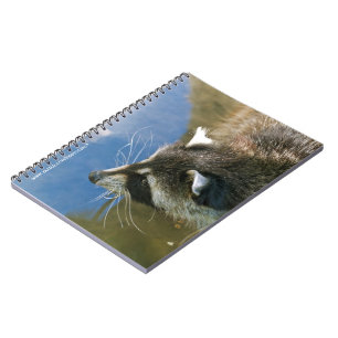 Caderno Espiral Guaxinim