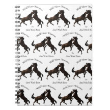 Guerreiros do cavalo selvagem para a bacia de