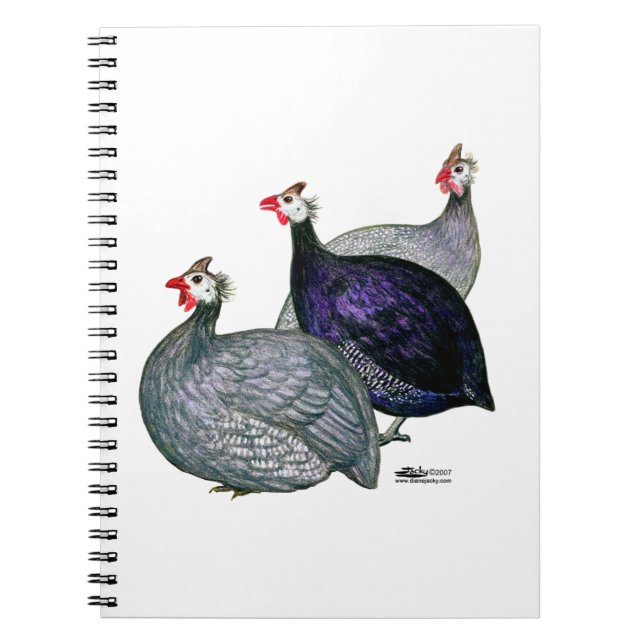 Caderno Espiral Guineas Três (Frente)