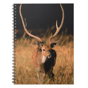 Caderno Espiral Habitat Natural Chital Parque Nacional de Bandha