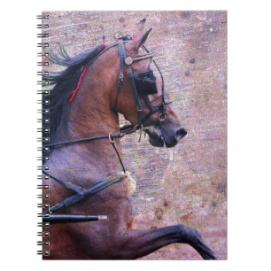Caderno Espiral Hackney Grunge