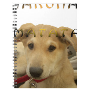 Caderno Espiral Hakuna Matata Eu sei o que você está pensando