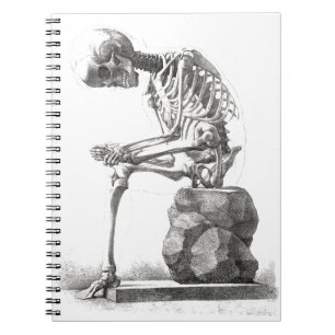 Caderno Espiral Halloween Skeleton Sitting Anatomia