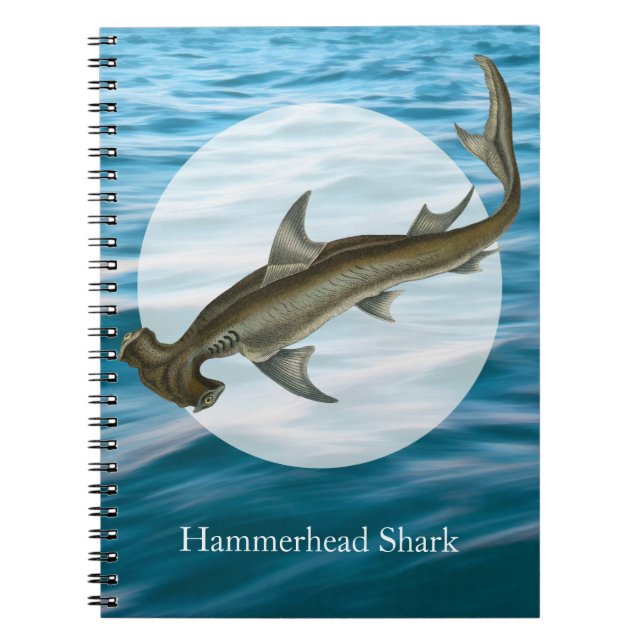 Caderno Espiral Hammerhead Shark Sea Life (Frente)