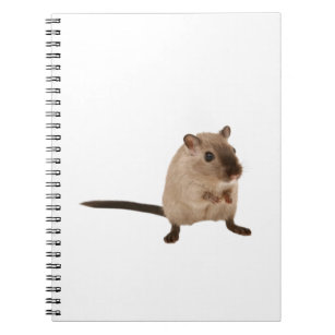 Caderno Espiral hamster fofo