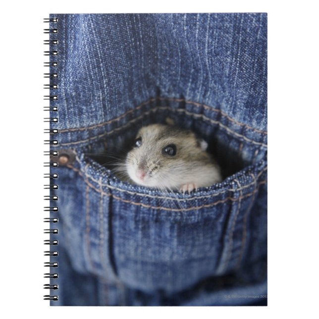 Caderno Espiral Hamster no bolso (Frente)