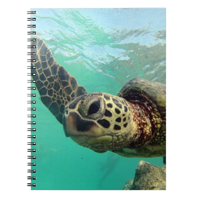 Caderno Espiral Hanauma Bay Hawaii Turtle (Frente)