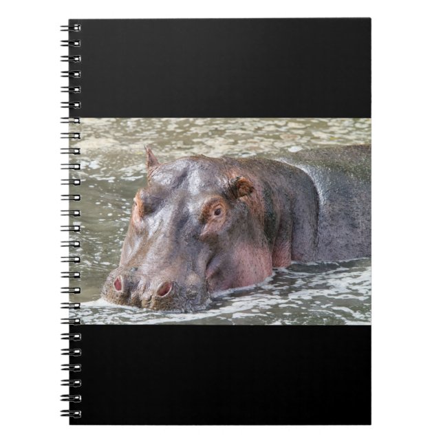 Caderno Espiral Happy Hippo (Frente)
