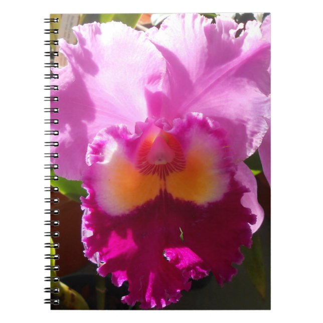 Caderno Espiral Harlinde (Frente)