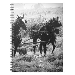 Caderno Espiral Hay Time in Black and White