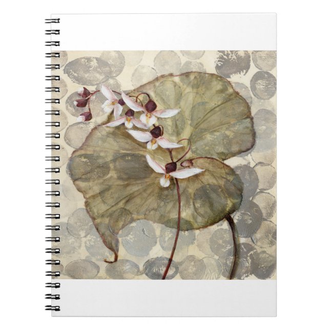 Caderno Espiral HAZ24 Amazónia 2.tif (Frente)