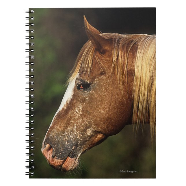 Caderno Espiral Headshot 1 do cavalo do Appaloosa (Frente)
