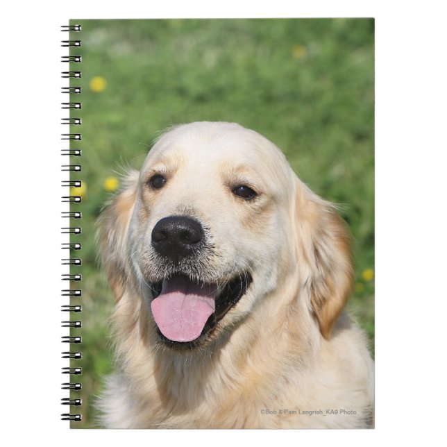 Caderno Espiral Headshot 1 do golden retriever (Frente)