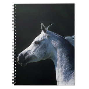 Caderno Espiral Headshot árabe 2 do cavalo