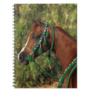 Caderno Espiral Headshot árabe do cavalo com freio