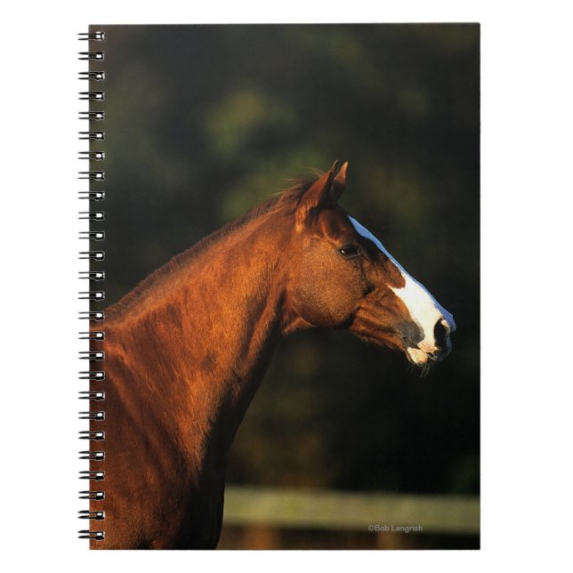 Caderno Espiral Headshot do cavalo do puro-sangue (Frente)