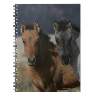 Caderno Espiral Headshot do potro do mustang