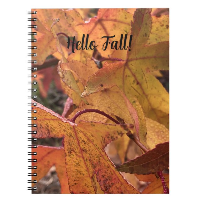 Caderno Espiral "Hello Fall!" Notebook (Frente)