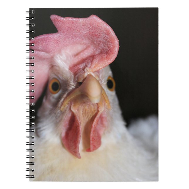 Caderno Espiral Hen (Frente)