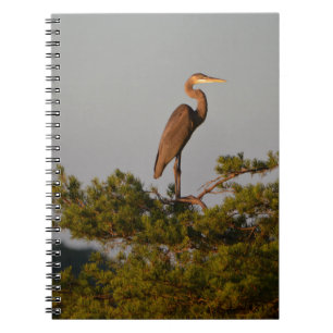 Caderno Espiral Herão Azul excelente na Árvore Superior