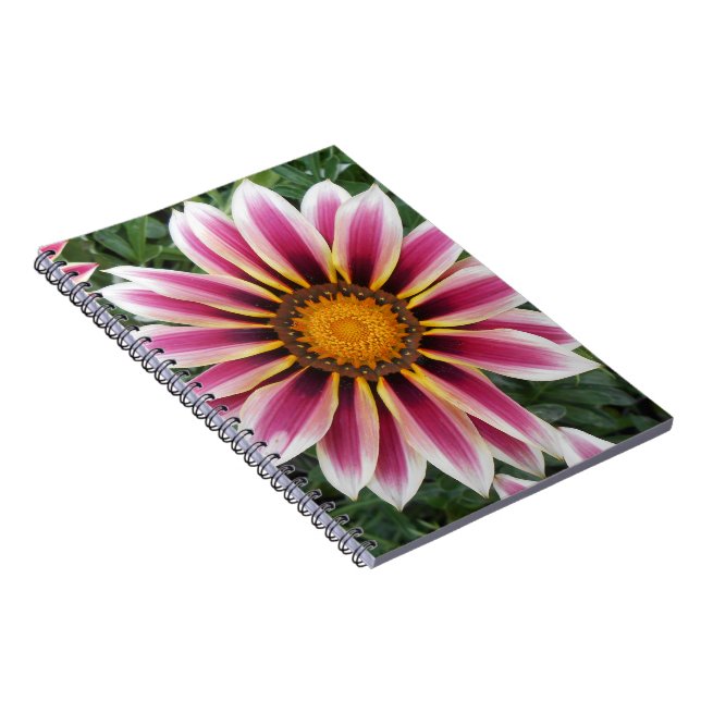 Caderno Espiral Hereford (Lado Direito)