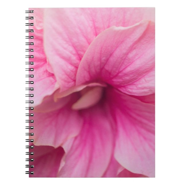 Caderno Espiral Hibisco Rosa (Frente)
