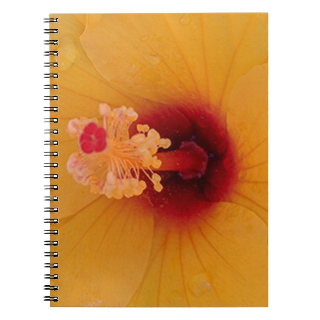 Caderno Espiral Hibiscus (Frente)