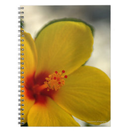 Caderno Espiral Hibiscus Amarelo