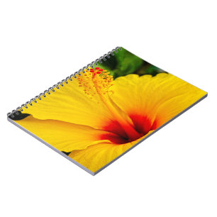 Caderno Espiral Hibiscus amarelo brilhante