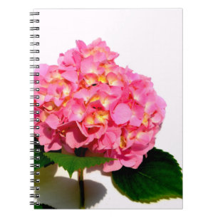 Caderno Espiral Hídranga cor-de-rosa Elegante