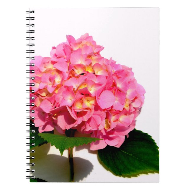 Caderno Espiral Hídranga cor-de-rosa Elegante (Frente)