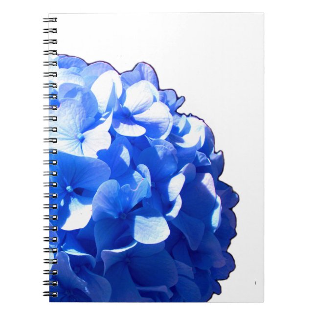Caderno Espiral Hídrangas azuis-florais elegantes-de-cobalto (Frente)
