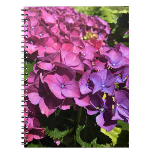 Caderno Espiral Hídricas