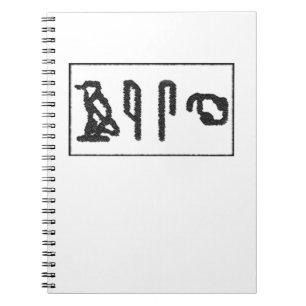 Caderno Espiral Hieroglifos cerebrais