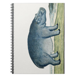 Caderno Espiral Hippopotamus - Hippo - África Animal - Cute Hippo
