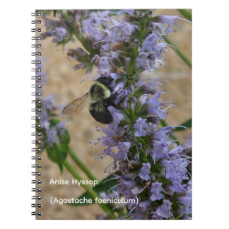 Caderno Espiral Hissopo de Anis