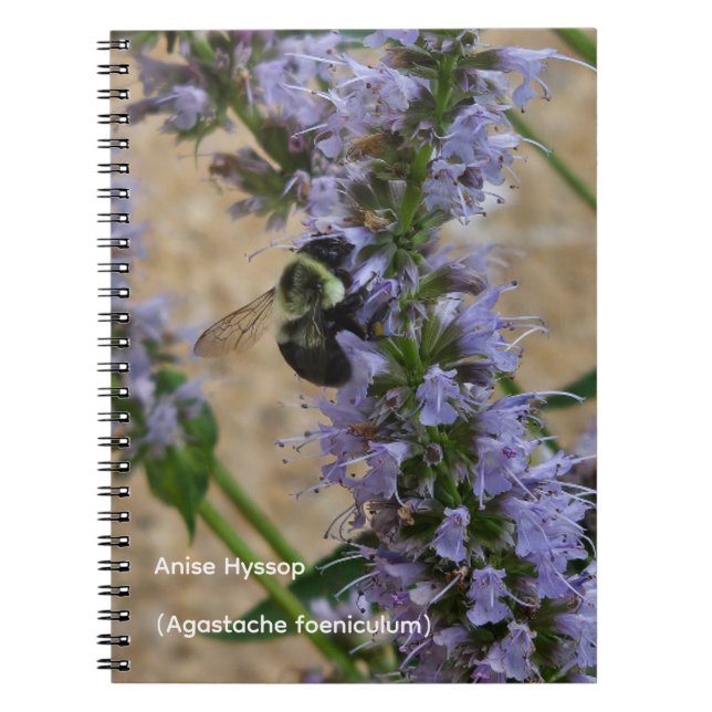 Caderno Espiral Hissopo de Anis (Frente)